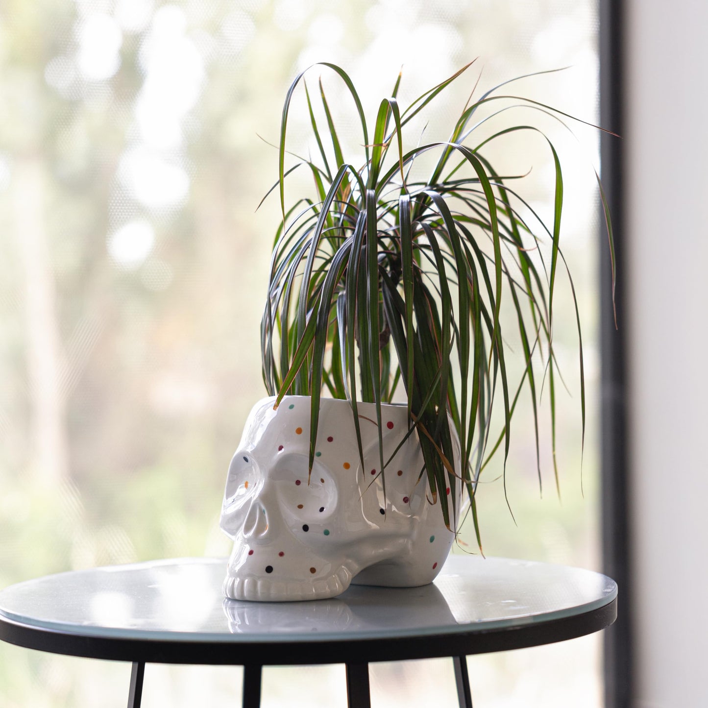 Macetero calavera con lunares de colores – Misterio y vida para tus plantas