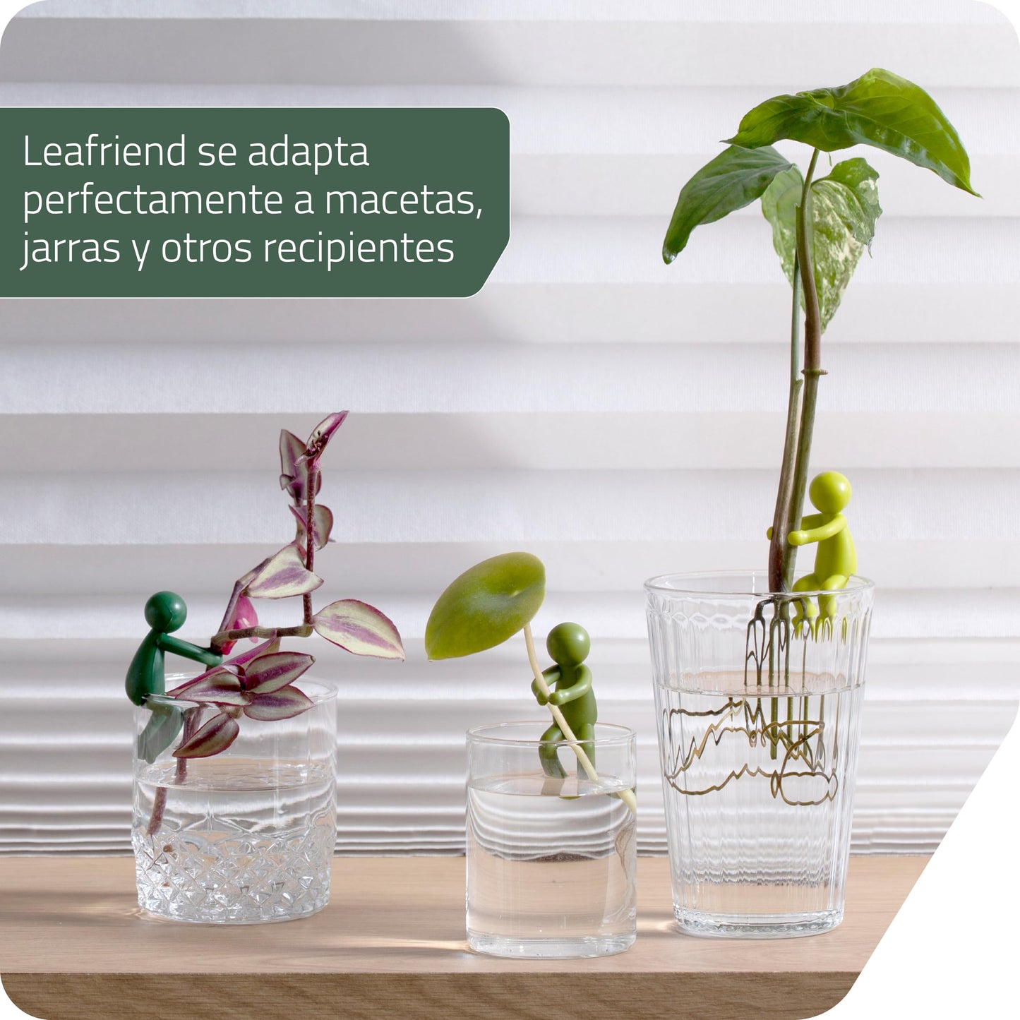 Leafriend – Soporte para brotes con forma de hoja