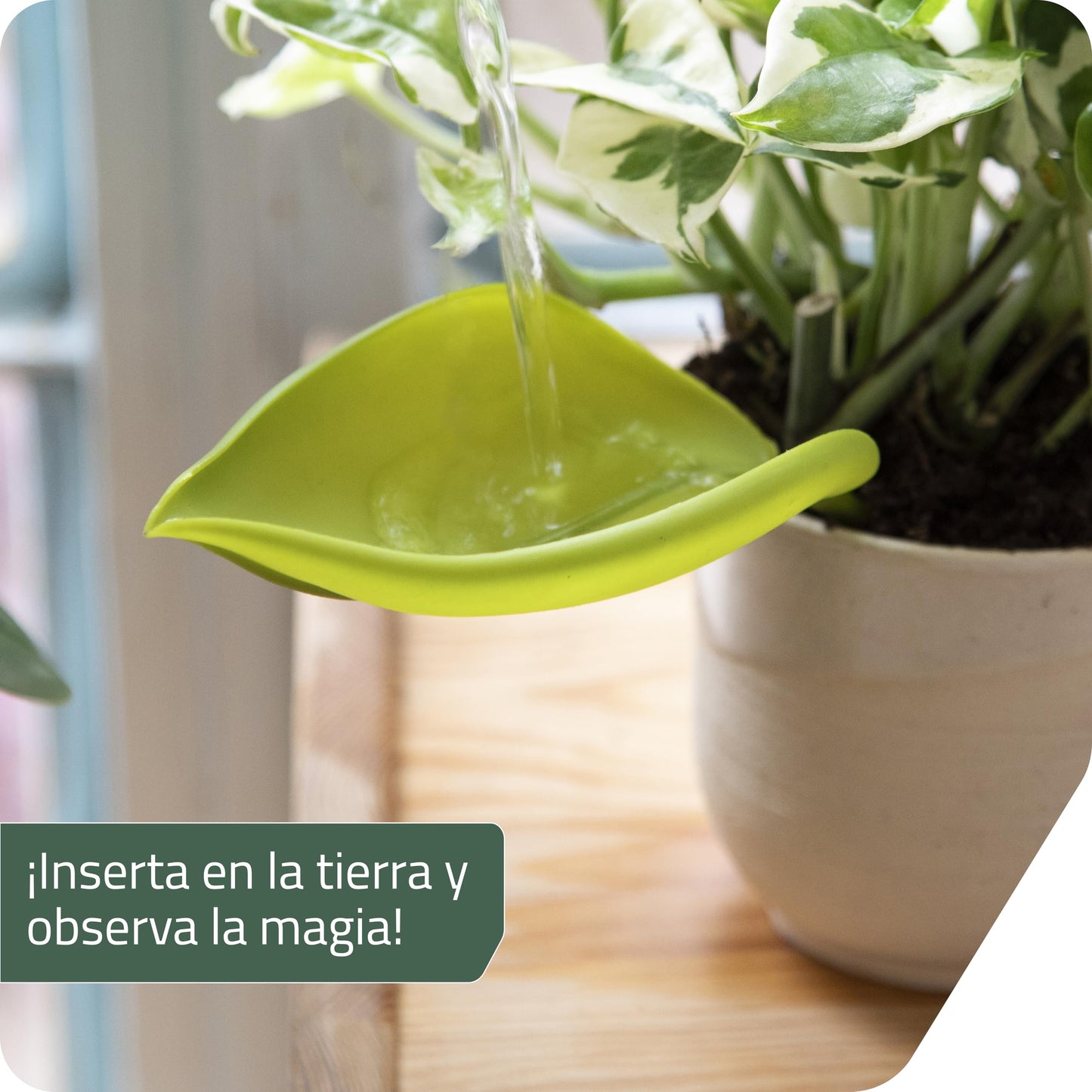 Embudo Leaflow – La hoja mágica que riega con estilo