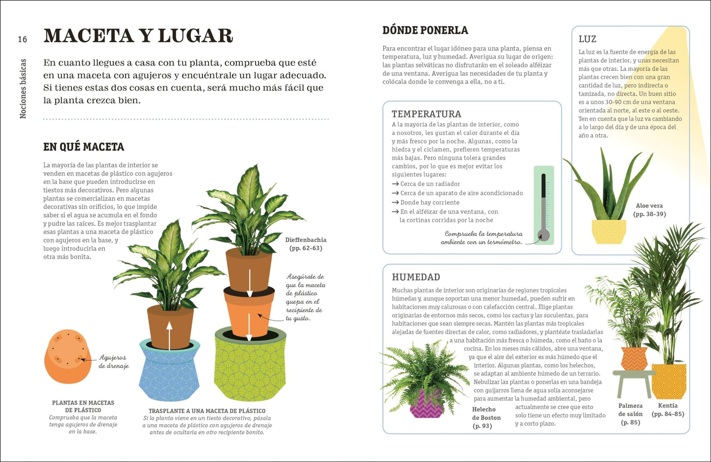 Como no matar tus plantas – Consejos para que tus plantas de interior sobrevivam