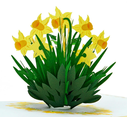 Tarjeta narciso 3D – Delicadeza en tres dimensiones