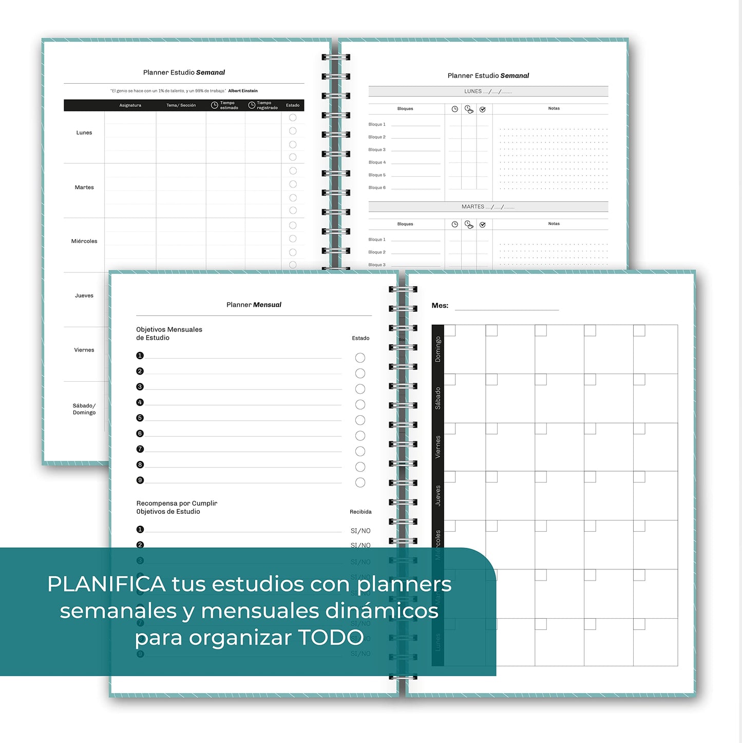 Agenda para opositores โ Planifica tu plaza como un estratega ninja