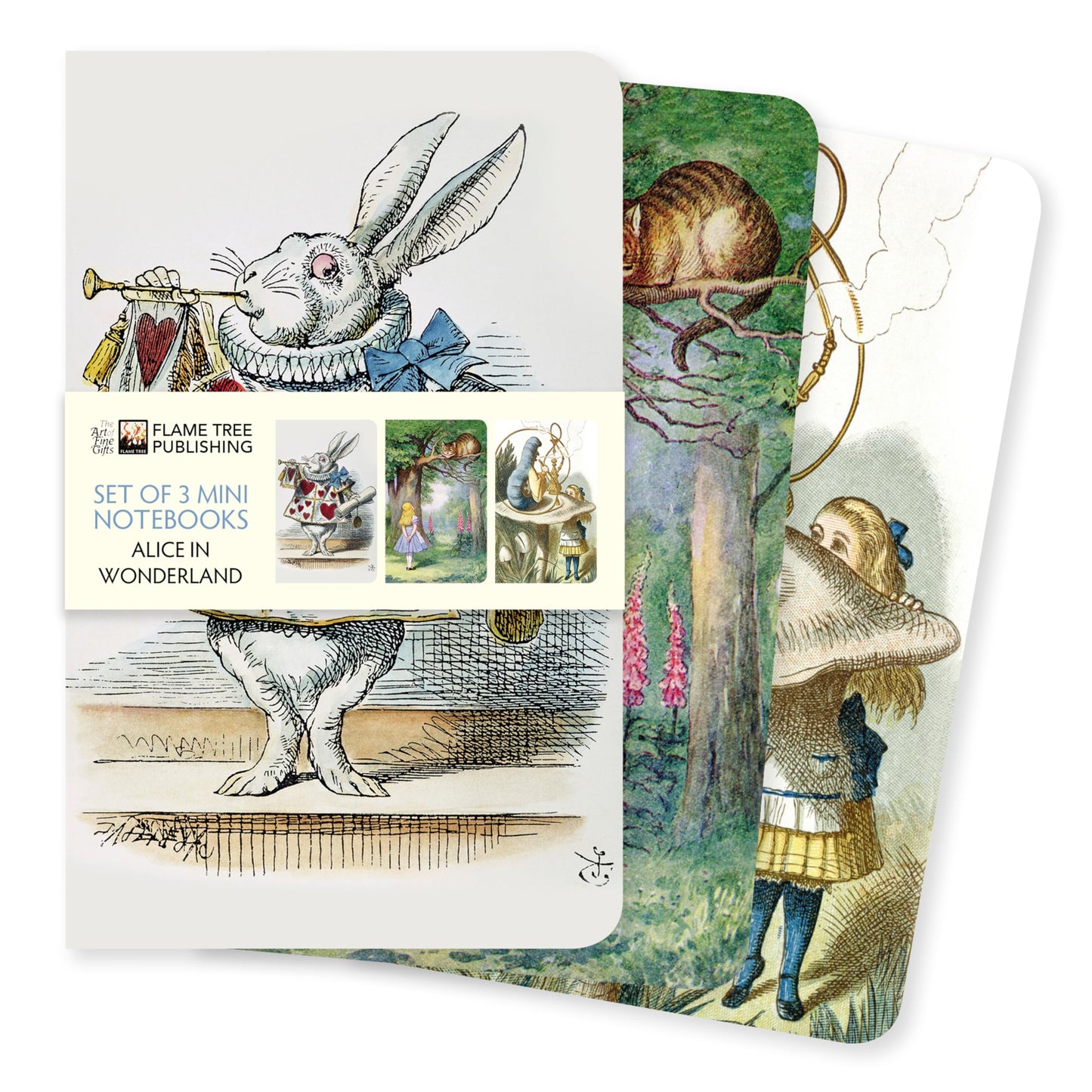 Set 3 mini libretas Alicia – Escribe en el país de las ideas