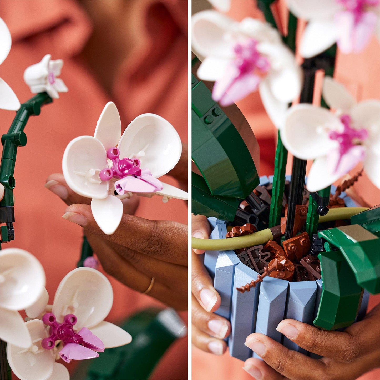 LEGO Orquídeas – Belleza eterna para construir y contemplar