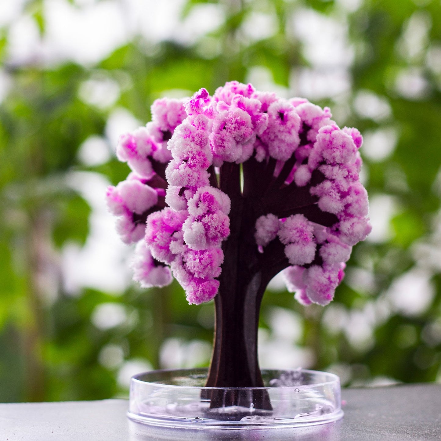 Árbol mágico Sakura – Florece con agua y asombro japonés