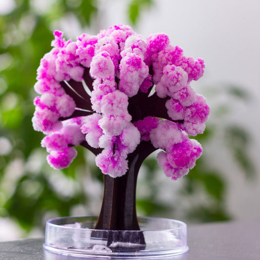 Árbol mágico Sakura – Florece con agua y asombro japonés