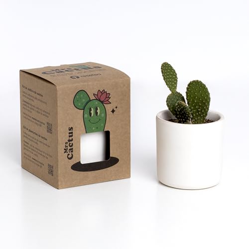 Kit autocultivo Mrs. Cactus – Un cactus terapéutico que crece contigo