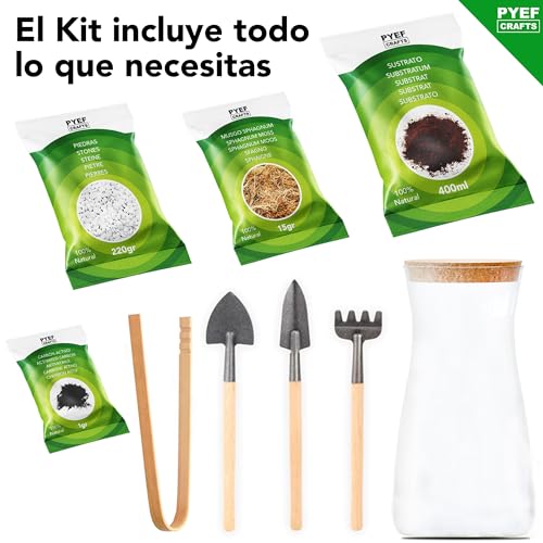 Kit Terrario Plantas DIY - Set con Frasco de Cristal Ecosistema Cerrado Plantas para Jardin en Botella - Kit Terrario de Cristal para Bosque Eterno de Interior - (Kit Sin Planta)