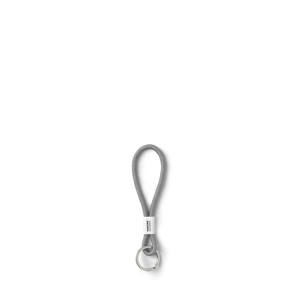 Pantone 16593 Key Chain Llavero, 18 centimeters, Gris (Cool Gray 9)