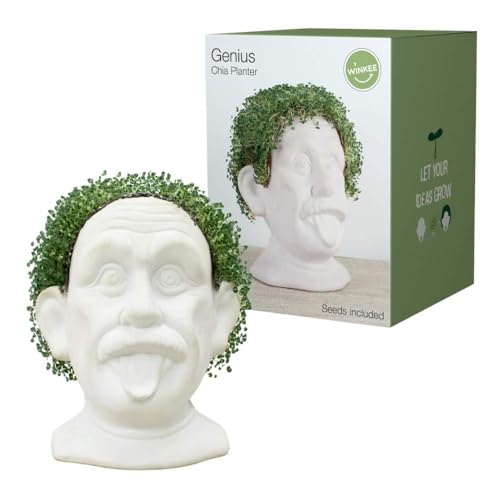 Maceta Einstein Chia – Ideas que brotan del genio