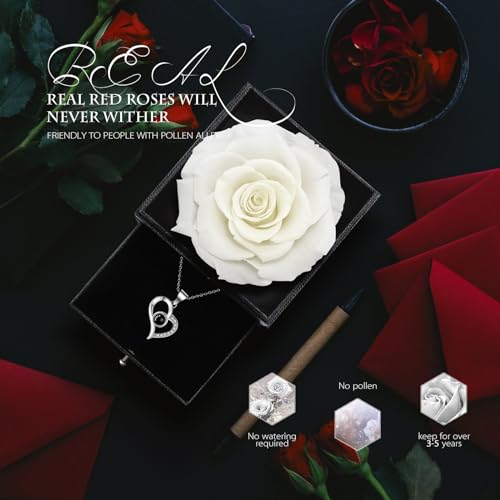 GOICC Rosa Eterna Natural Preservada con Collar Regalos Originales para Mujer Mama Novia Hermana Abuela Caja Regalo (Blanco)