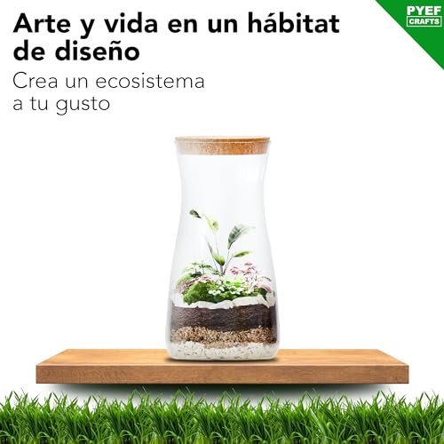 Kit Terrario Plantas DIY - Set con Frasco de Cristal Ecosistema Cerrado Plantas para Jardin en Botella - Kit Terrario de Cristal para Bosque Eterno de Interior - (Kit Sin Planta)