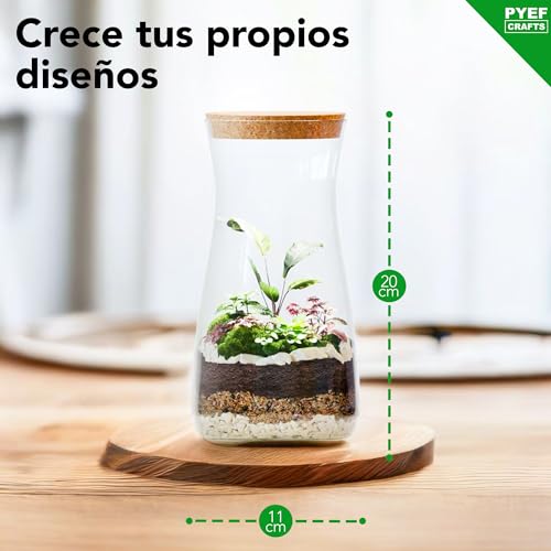 Kit Terrario Plantas DIY - Set con Frasco de Cristal Ecosistema Cerrado Plantas para Jardin en Botella - Kit Terrario de Cristal para Bosque Eterno de Interior - (Kit Sin Planta)