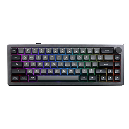 EPOMAKER EK68 Teclado Mecánico Inalámbrico/Bluetooth/USB-C. 65% Teclado con batería 3000mAh,Volumen botón,RGB,Hot Swap,para Juegos/Oficina/PC/Mac/Linux (US Negro Plata, Budgerigar Switch)