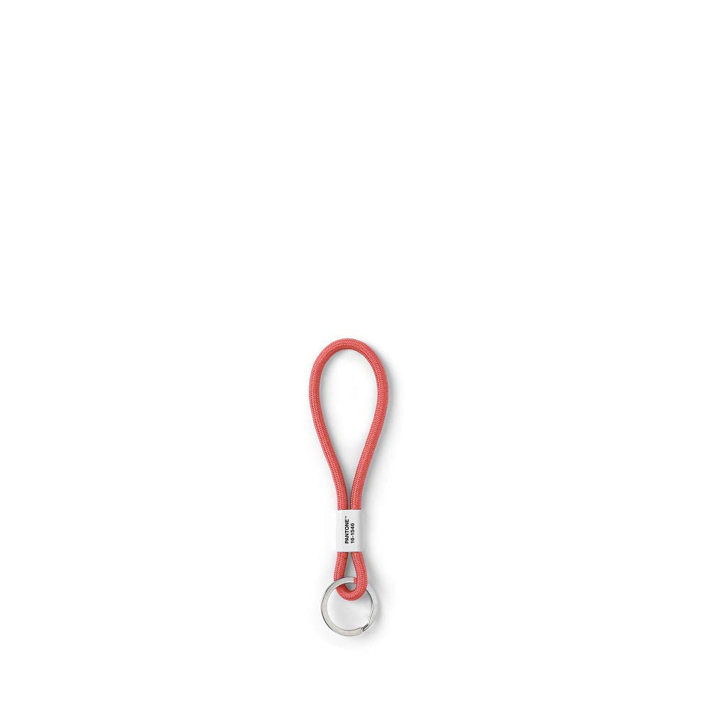 Pantone Key Chain Llavero 18 centímetros Naranja (Living Coral 16-1546) (17864)