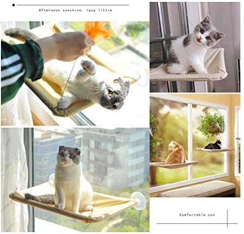 Hamaca de ventana para gatos – Su trono con vistas