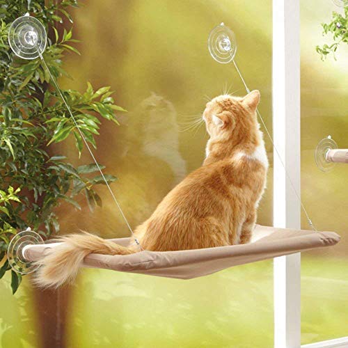 Hamaca de ventana para gatos – Su trono con vistas