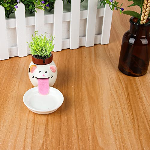 Peropon Drinking Animal Planter, ZoneYan Macetas de Animales, Self Watering Plant Pot, Mini Maceta en Forma de Gato