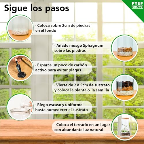 Kit Terrario Plantas DIY - Set con Frasco de Cristal Ecosistema Cerrado Plantas para Jardin en Botella - Kit Terrario de Cristal para Bosque Eterno de Interior - (Kit Sin Planta)