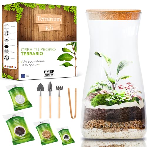 Kit Terrario Plantas DIY - Set con Frasco de Cristal Ecosistema Cerrado Plantas para Jardin en Botella - Kit Terrario de Cristal para Bosque Eterno de Interior - (Kit Sin Planta)