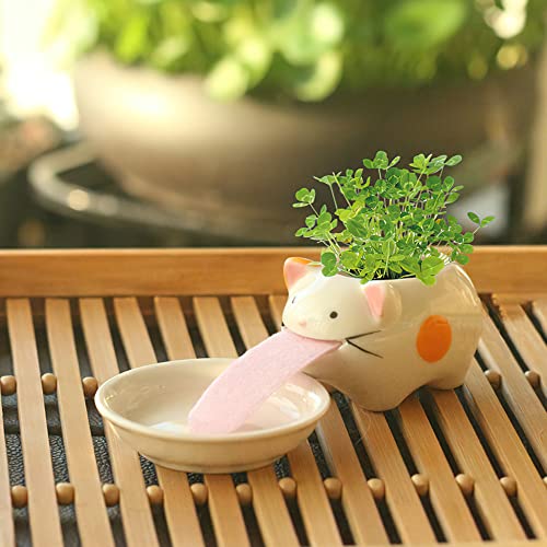 Peropon Drinking Animal Planter, ZoneYan Macetas de Animales, Self Watering Plant Pot, Mini Maceta en Forma de Gato