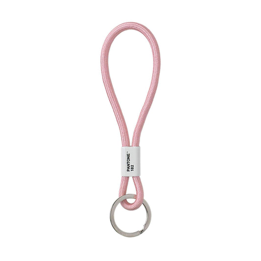 Pantone Key Chain Llavero 18 centimeters Rosa (Light Pink 182)