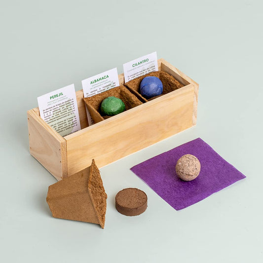 Minihuerto aromático – Cultiva albahaca, menta y más en casa