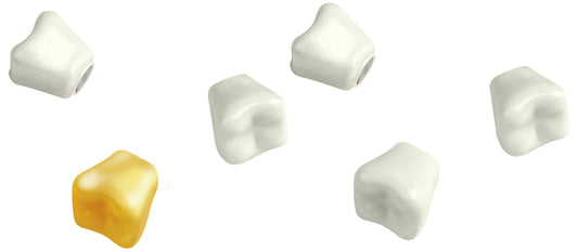 Imanes con forma de dientes – 5 dientes blancos ¡y un diente dorado!