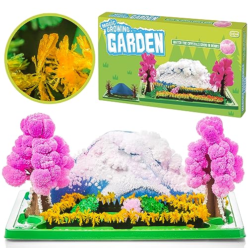 Kit de cultivo Magic Garden – Un jardín que crece como por arte de magia