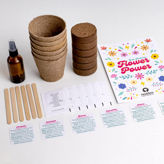 Kit autocultivo Flower Power – Flores para llenar tu casa de vida y color