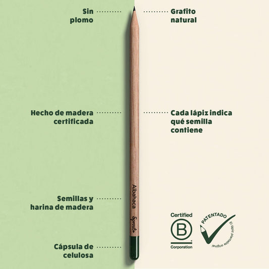 Lápices que crecen – Sprout con semilla en la punta