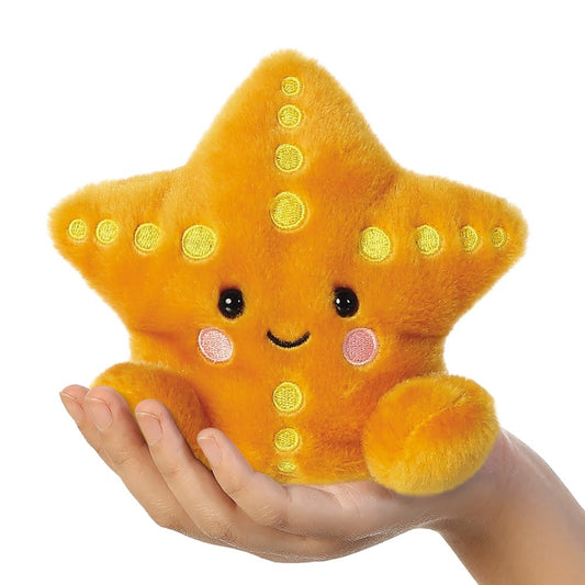 Estrella de mar Treasure – Cabe en tu mano y en tu día