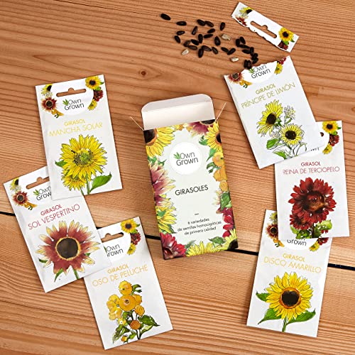 Kit de semillas de girasol: Simiente de girasol de primera calidad con seis bonitas variedades – Set de regalo para el jardín – Flores para abejas – Semillas para plantas de OwnGrown