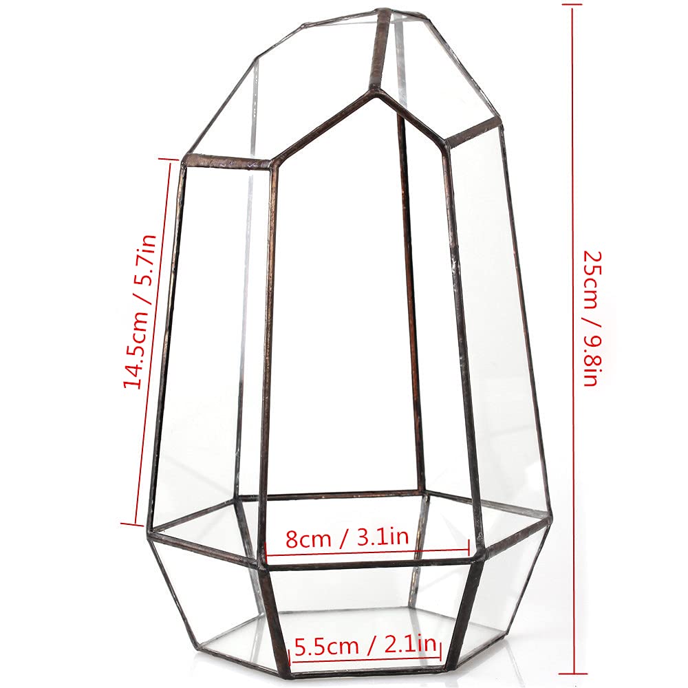 NCYP Terrario de Forma geométrica de Prisma, de Cristal, Irregular, 25 cm de Altura, de sobremesa, para Plantas suculentas, helechos y Musgo(Solo Terrario, No Incluye Plantas)