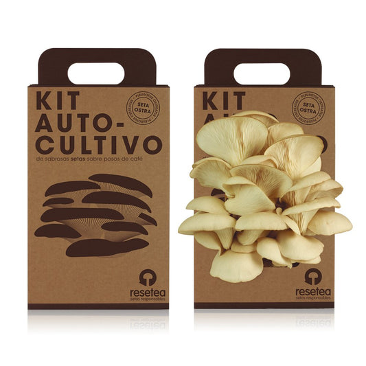 Kit autocultivo setas – Cultiva ostras sobre posos de café