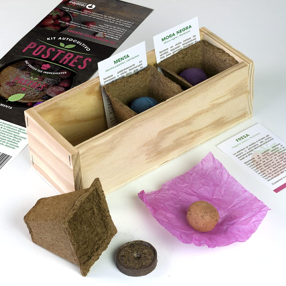 Kit postres – Cultiva menta, fresas y más delicias