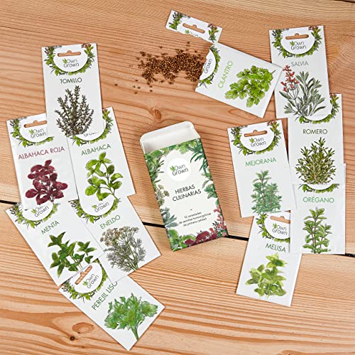 Kit Semillas Hierbas: 12 Variedades de Hierbas Aromaticas para plantar – Semillas Huerto – Albahaca, Tomillo, Cilantro – Plantas Aromaticas – OwnGrown