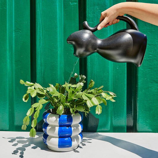 Regadera gato – Riega con estilo felino