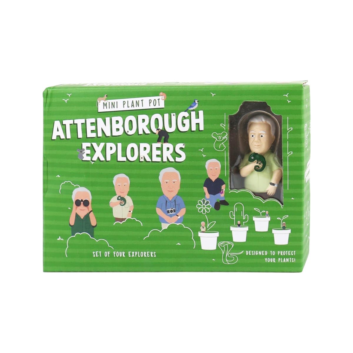Mini exploradores Attenborough – Marcadores decorativos para macetas