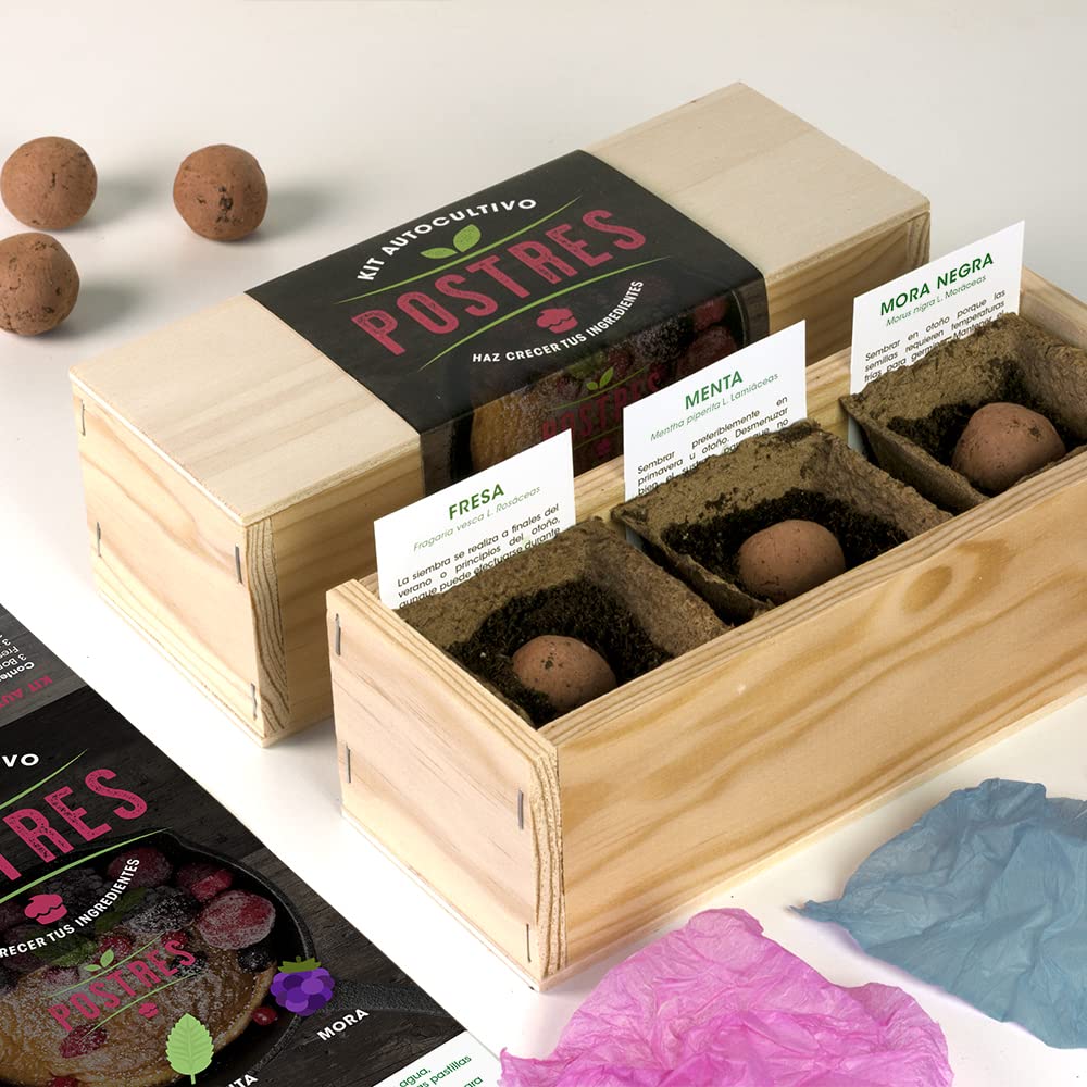 Kit postres – Cultiva menta, fresas y más delicias