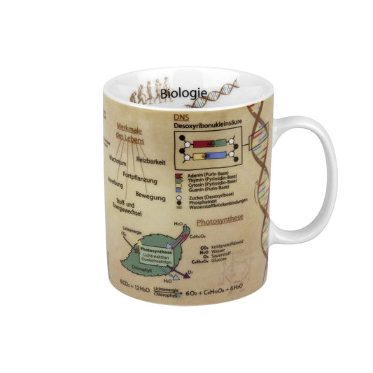 Könitz Biologie Taza, Ceramic