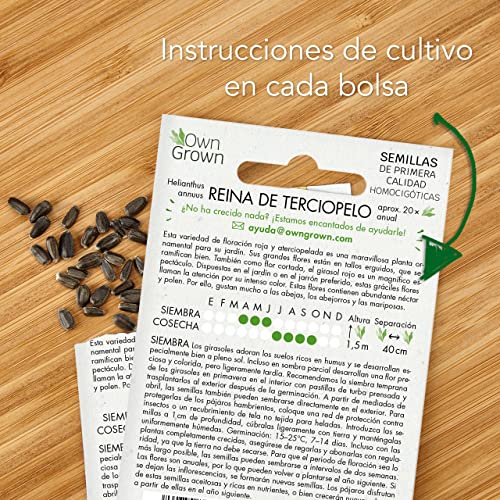 Kit de semillas de girasol: Simiente de girasol de primera calidad con seis bonitas variedades – Set de regalo para el jardín – Flores para abejas – Semillas para plantas de OwnGrown