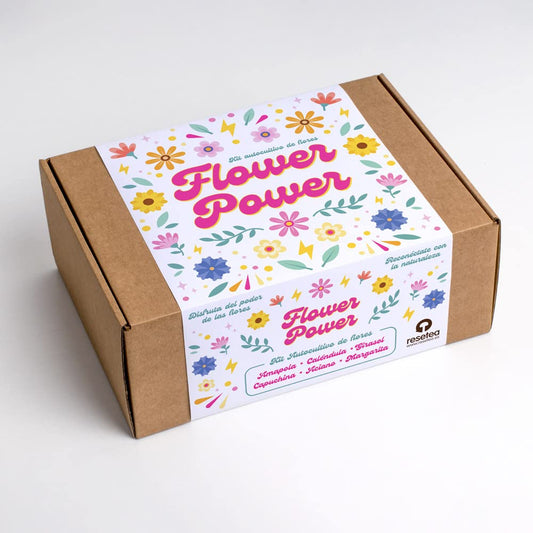 Kit autocultivo Flower Power – Flores para llenar tu casa de vida y color