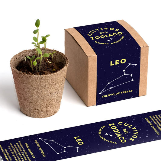 Kit de cultivo Leo – Fresas caseras bajo la constelación del verano