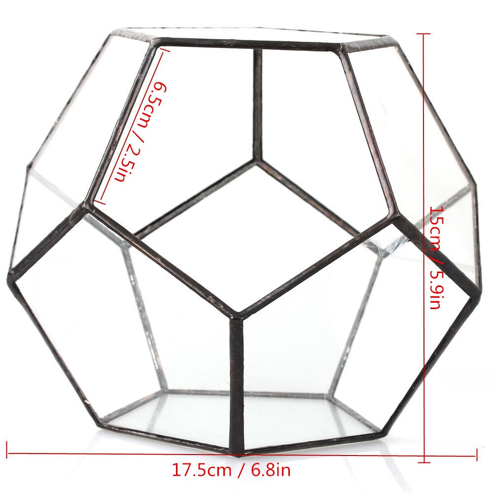 NCYP Cristal Transparente Pentagon Dodecaedro geométrico terrario suculenta terrario, Transparente (SIN Plantas Incluidas)