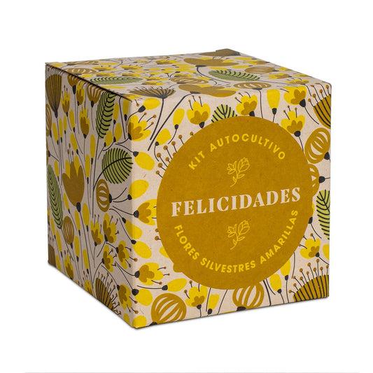 Kit “Díselo con flores – Felicidades” – Un ramo que brota desde cero