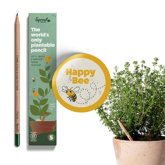 Lápices Plantables Bee Edition – Palabras que florecen y protegen a las abejas