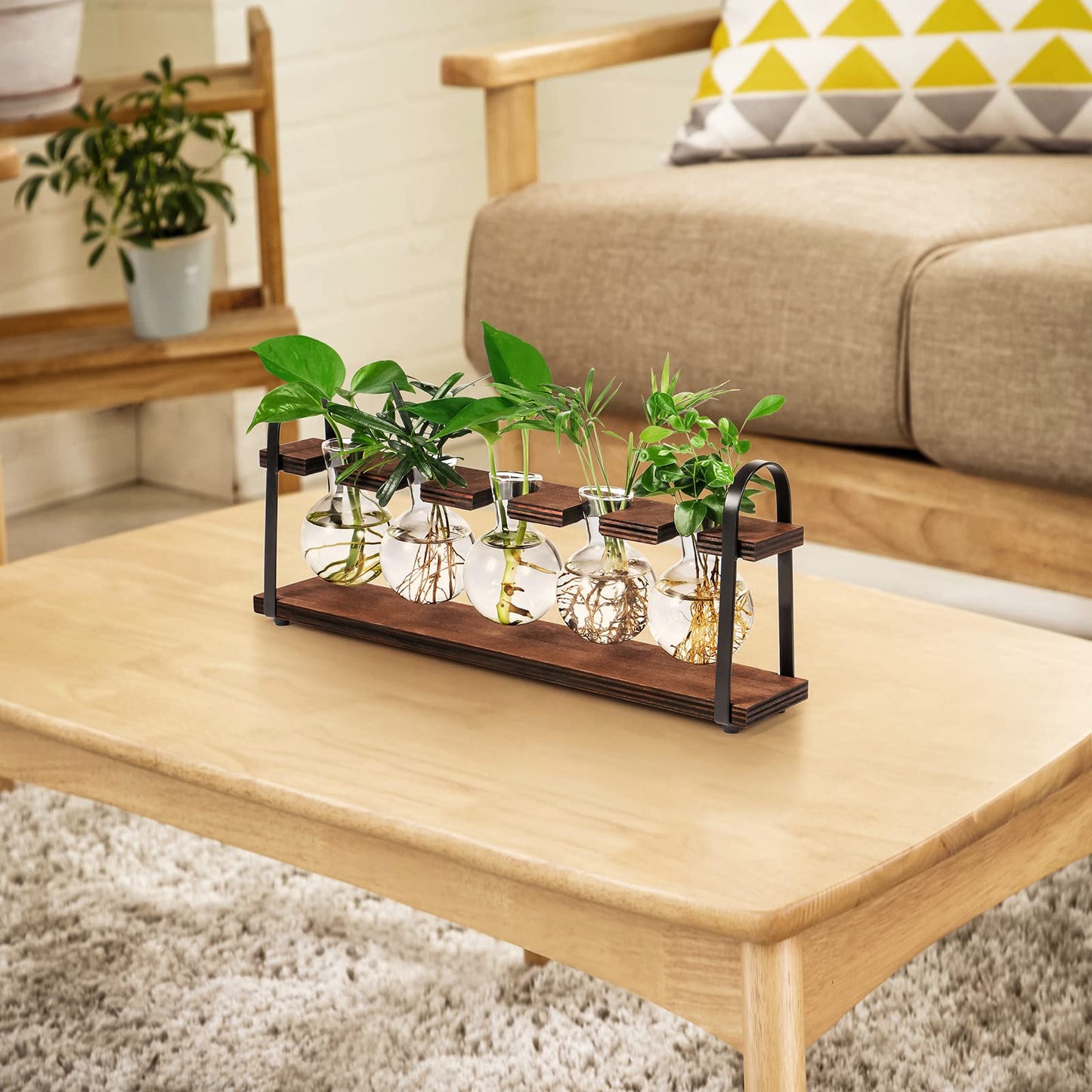 THYGIFTREE Estaciones de propagación de plantas con soporte de madera, jarrón retro de escritorio para flores hidropónicas de interior, maceta de vidrio de mesa, regalos de inauguración de la casa