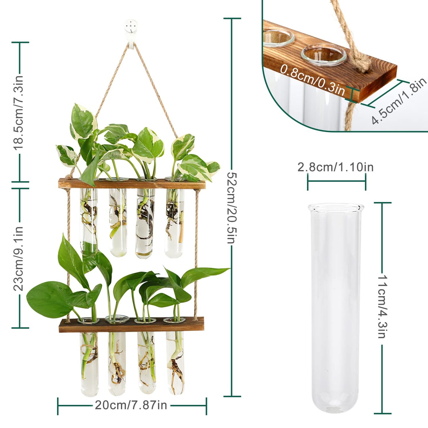 Coikes Estación de propagación para Plantas, 8 Piezas de jarrón de Tubo de ensayo para Colgar en la Pared con Soporte de Madera y Cuerdas, Maceta de Cristal, terrario para Plantas hidropónicas (8)