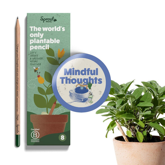 Lápices Plantables Mindful Edition – Escribir con calma, cultivar vida